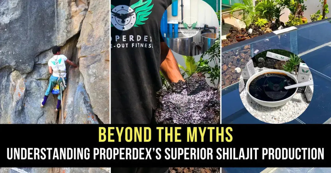 Beyond the Myths: Understanding Properdex’s Superior Shilajit Production