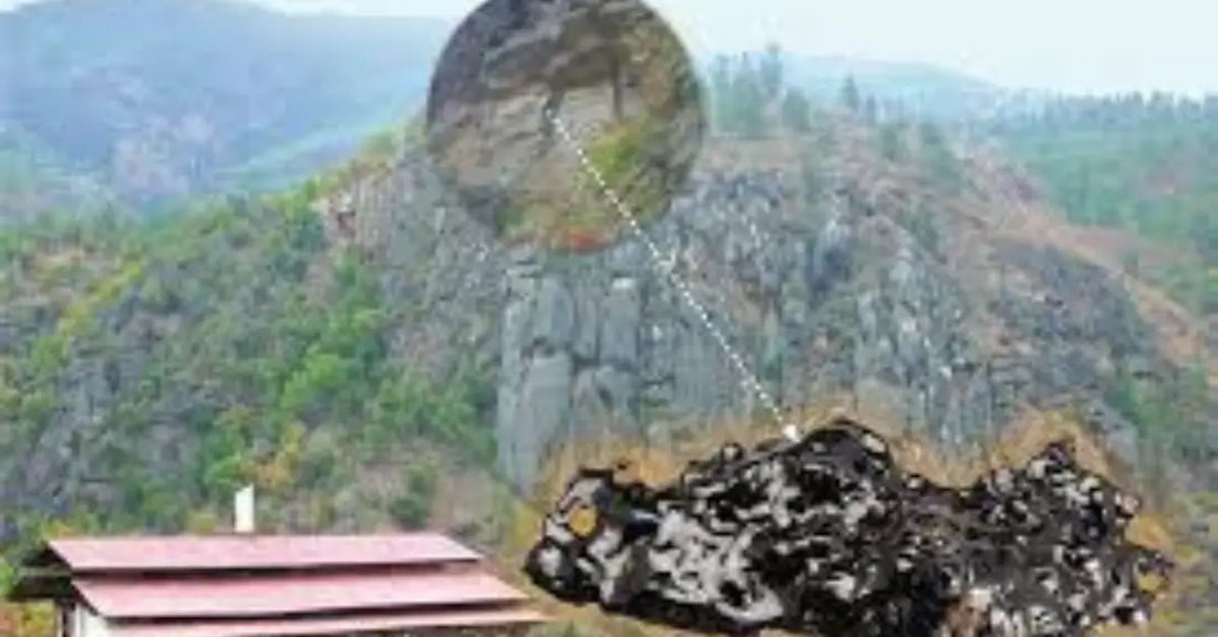 Cómo se Toma el Shilajit Correctamente