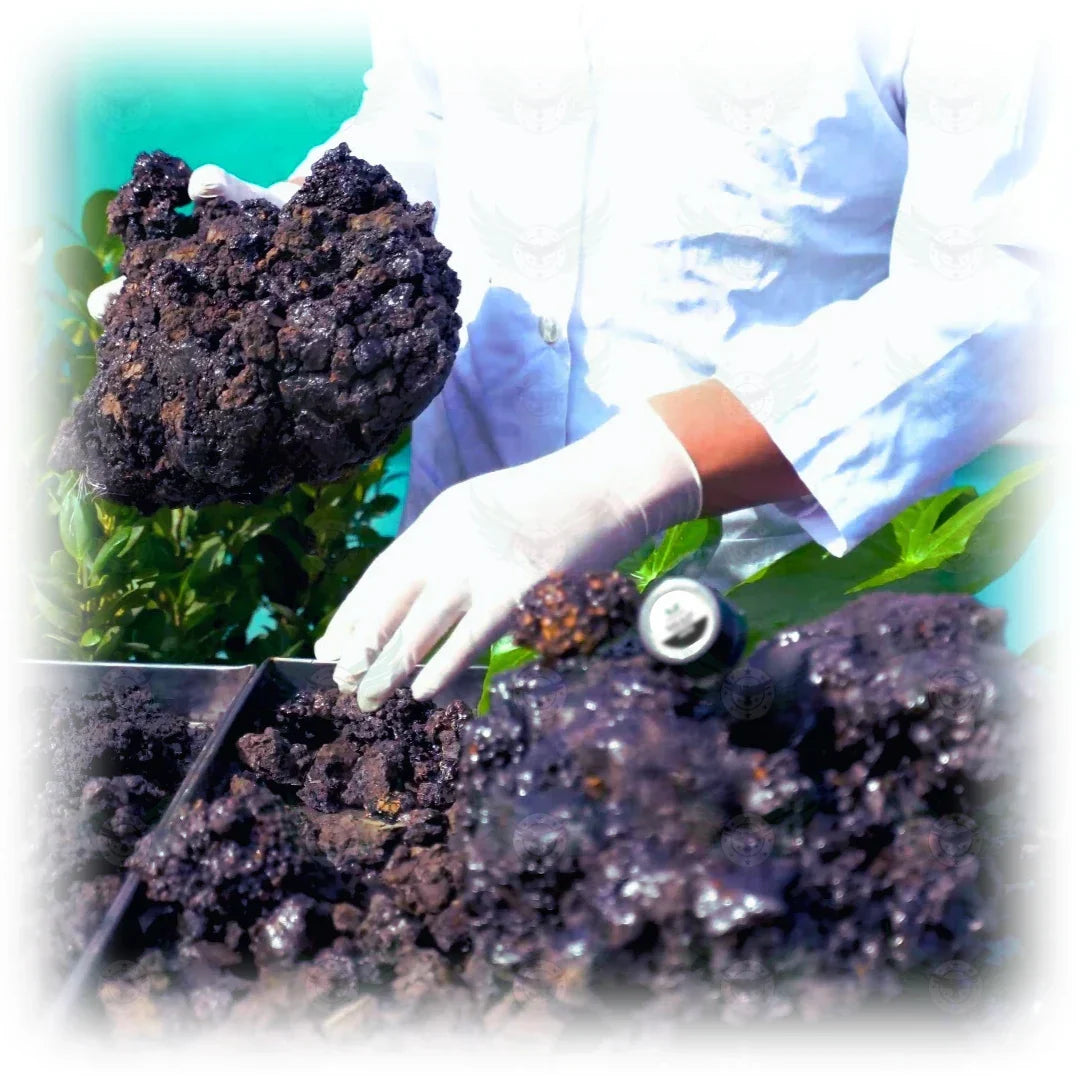 12 Comprehensive Health Benefits of Shilajit