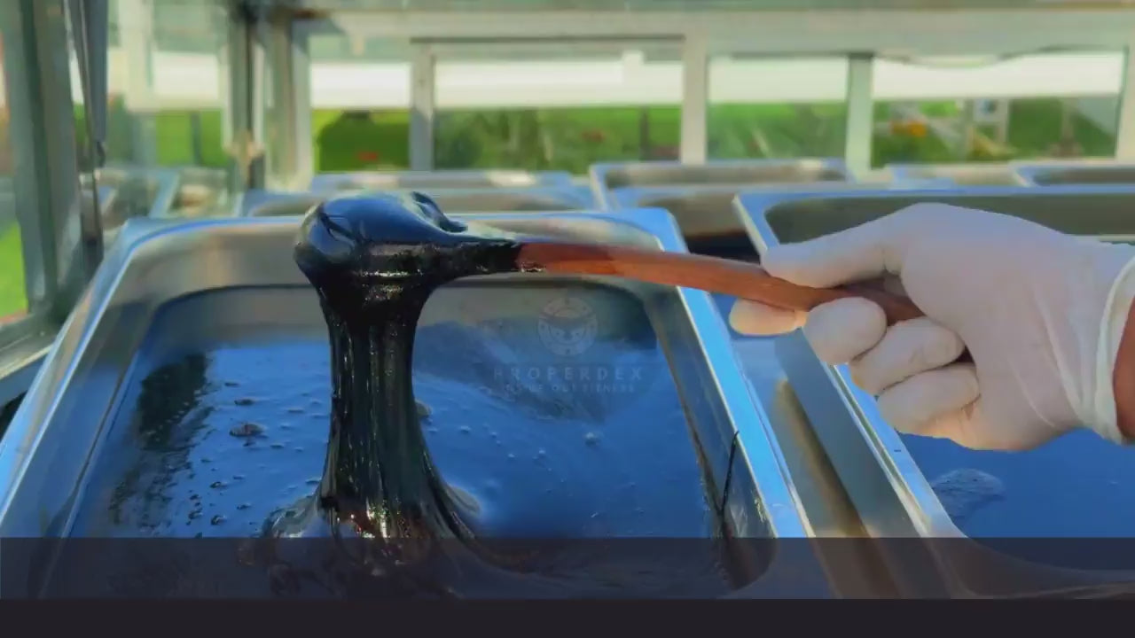 Load video: Shilajit extraction, purification, sun-drying, and packaging process video from Properdex Shop, showcasing premium Himalayan Shilajit resin preparation
